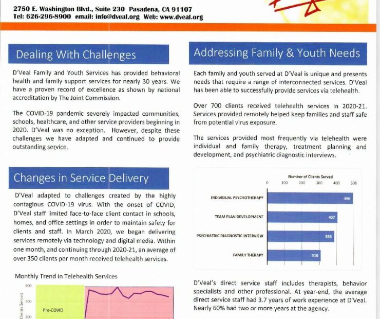 DVeal-2020-21-Annual-Report-2-pdf